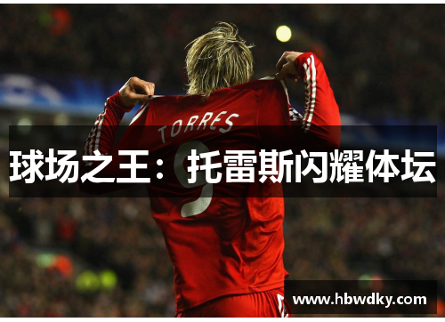 球场之王：托雷斯闪耀体坛