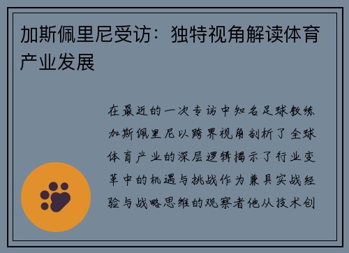 加斯佩里尼受访：独特视角解读体育产业发展